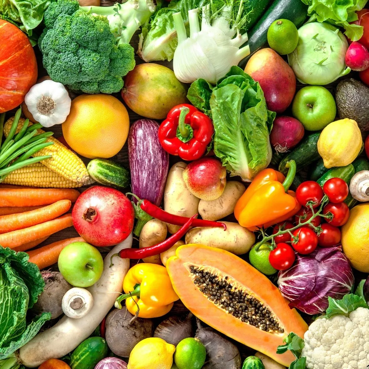 Frutihortícola