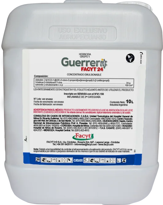 GUERRERO FACYT 24
