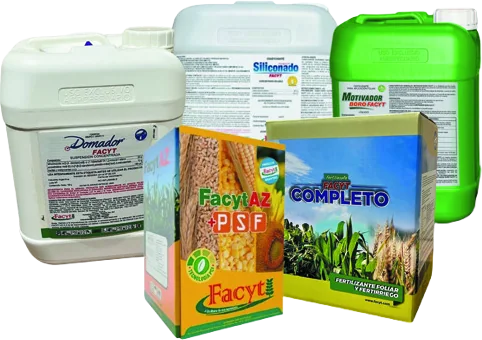 Combo Girasol II
