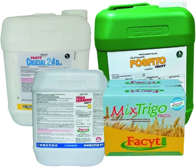 Combo Trigo II