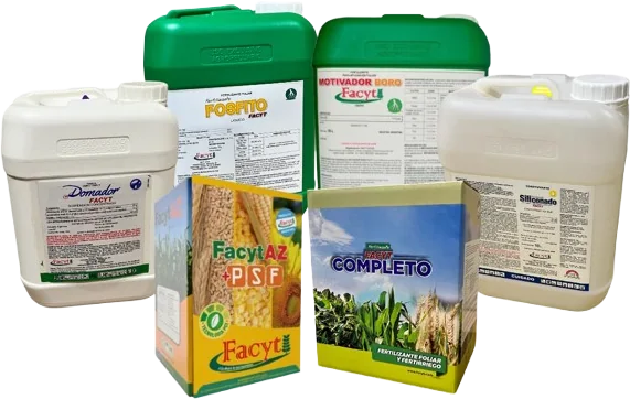 Combo Girasol III
