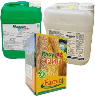Combo Sorgo II