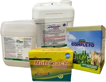 Combo Maíz I