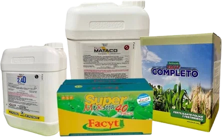 Combo Soja II