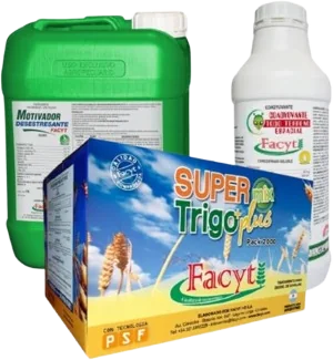 Combo Trigo III